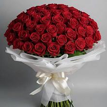 Букет 101 Красная роза Блэк Мэджик в Мещовске