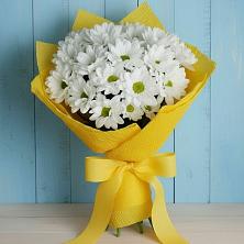 Букет цветов из:  Хризантемы в Мещовске