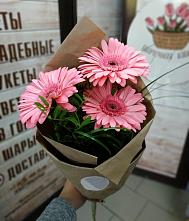 Букет цветов из:  Герберы #REPLACE_PRED# Мещовске