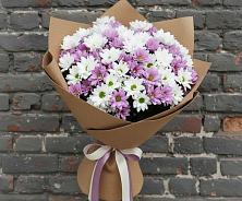 Букет цветов из:  Хризантемы в Мещовске