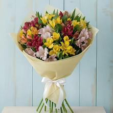 Букет цветов из:  Альстромерии в Мещовске