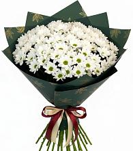 Букет цветов из:  Хризантемы #REPLACE_PRED# Мещовске