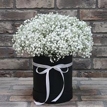 Цветочная композиция из Гипсофила в шляпной коробке в Мещовске