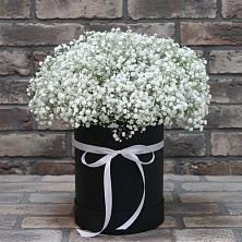 Цветочная композиция из Гипсофила в шляпной коробке в Мещовске